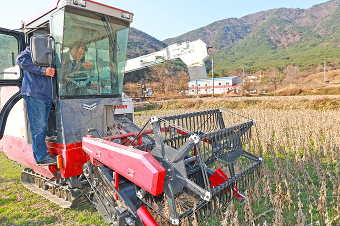 이승화 산청군수, 논콩 재배단지 현장...
