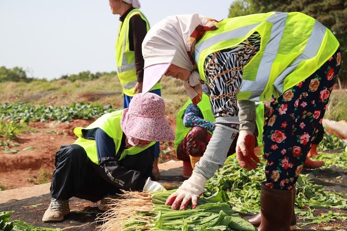 영암군, 2026년 노인일자리 참여 ...