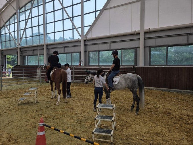 영광군승마장, 합리적 가격의 쿠폰제 ...