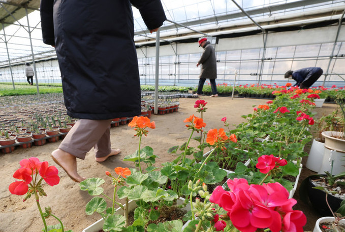 [오늘 날씨] 입춘 지나고 영상권 '포근'… 늦은 밤 찬공기·미세먼지 습격