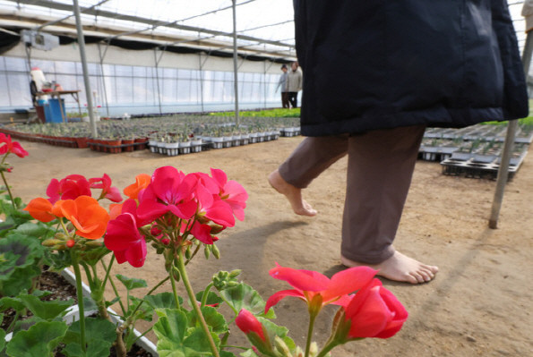 [내일 날씨] 아침 대부분 한낮 영상권… 수도권·충청 미세먼지 '나쁨'