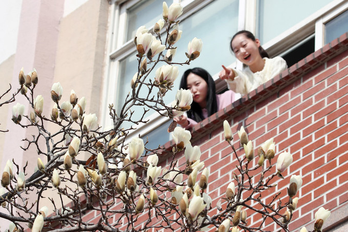 [내일 날씨] 아침 영하권 '꽃샘추위' 계속… 전국 미세먼지 농도 '나쁨'