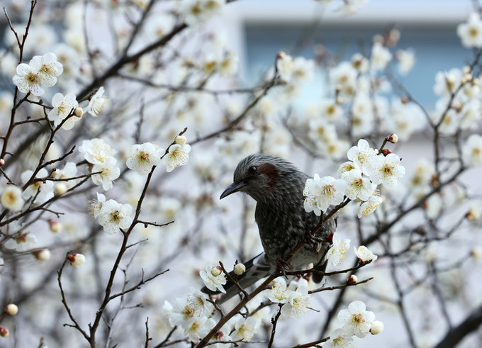 [내일 날씨] 아침 영하권, 낮에 기온 18도까지 올라… 미세먼지 '나쁨'