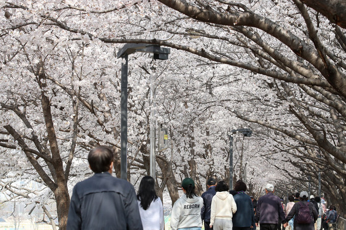 [내일 날씨] 제주·동쪽 지역에 봄 비… 한낮 따뜻, 미세먼지 '나쁨'