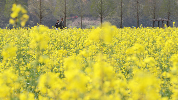[오늘 날씨] 서울 한낮 기온 25도 '초여름' 날씨… 일교차 주의