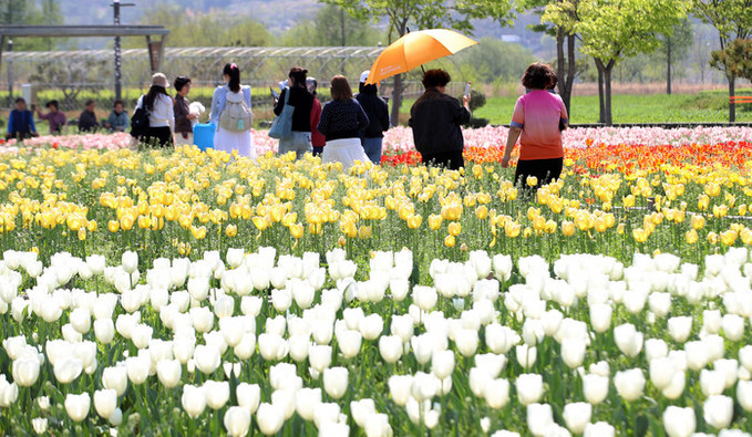 [내일 날씨] 초여름 '반짝 더위' 그친다… 제주·남부 비소식