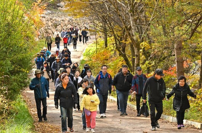 정선군, 오는 18일 항골 숨바우길 ...