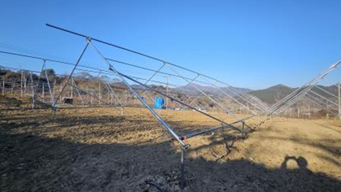 순천시, 과수 경쟁력 높인다… 202...